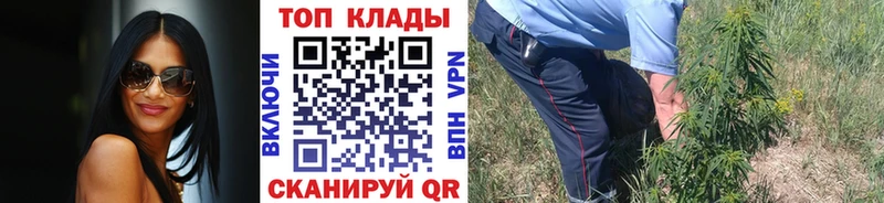 Наркошоп купить А ПВП  Псилоцибиновые грибы  Гашиш  Каннабис  АМФЕТАМИН  Cocaine  МЕФ  Алексин