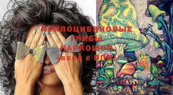 Альфа ПВП Кулебаки
