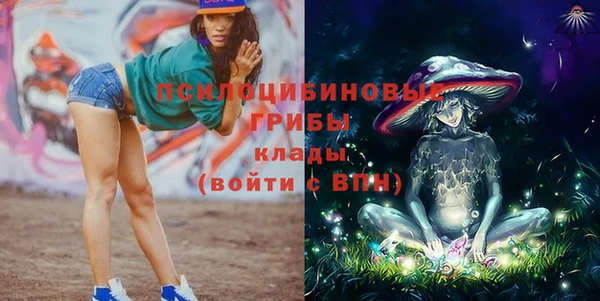 Альфа ПВП Кулебаки