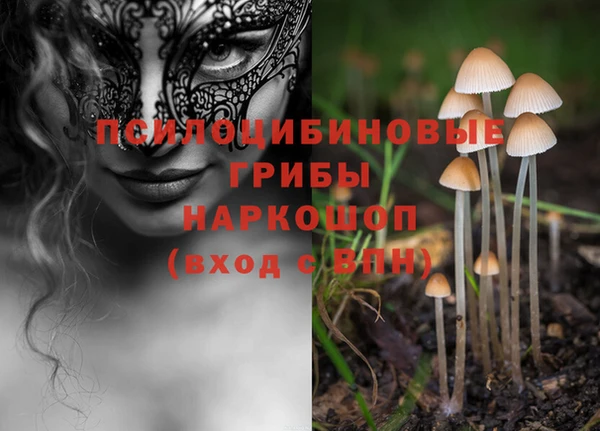 Альфа ПВП Кулебаки